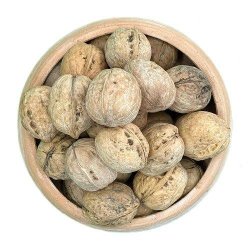 گردو کاغذی