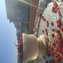 زرشک اصل ایرانی