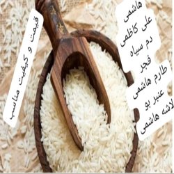 برنج شالیزار