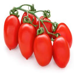 گوجه زیتونی