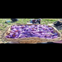 زعفران درجه یک