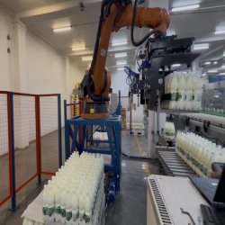 Palletizing Robot