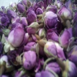 فروش عمده غنچه گل محمدی فروش عمده غنچه گل محمدی