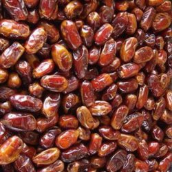 خرمای سیستان بلوچستان خرمای سیستان بلوچستان