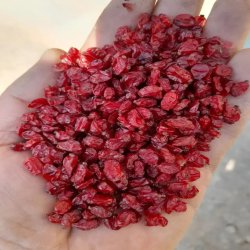 تولید و عرضه زرشک و زعفران درجه یک ایران 