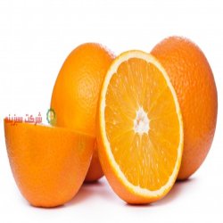 صاردات انواع میوه در تمامی فصل های سال