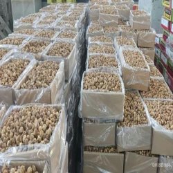 فواکه مجففه ، تین