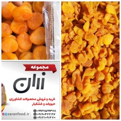 پخش و تامین مواد غذایی زران