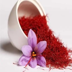 فروش تخمه افتاب گردان و کدو و ...