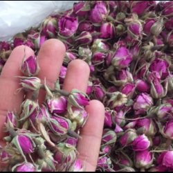 فروش گل محمدی خشک