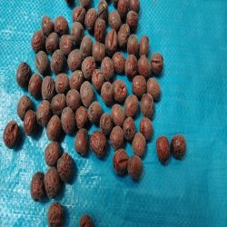 تامین کننده مواد غذایی و آجیلی