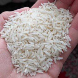 فروش برنج هاشمی اعلا