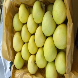فروشنده سیب درختی منطقه مرگور ارومیه