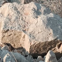 فروش سنگدولومیت با خلوص بالا فروش سنگدولومیت با خلوص بالا