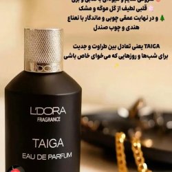 ادیپرفیوم وپرفیوم لدورا الهام گرفته از تام فورد