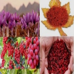 زرشک زعفران بادام هل پسته 