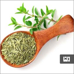 گیاه دارویی 