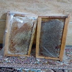 عسل