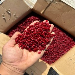 زرشک اعلا صادراتی و با کیفیت