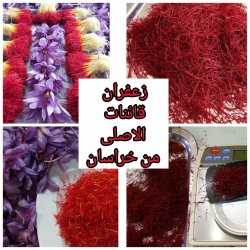 الزعفران و البرباریس و الهیل الزعفران و البرباریس و الهیل