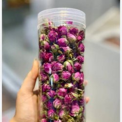 فروش گل محمدی 