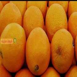 پرتقال دزفول اب دار