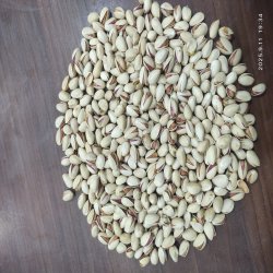 فروش پسته مستقیم ازکشاورز