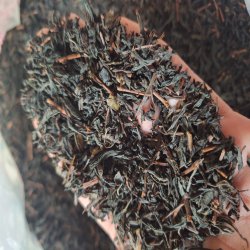 چای بهاره ایرانی طبیعی بدون مواد افزودنی.