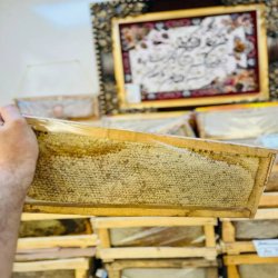 خرید عسل طبیعی از زنبور دار