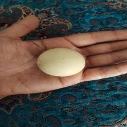 سنگ قیمتی 