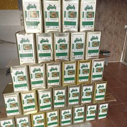 خیارشور شرکت دشت کمین 