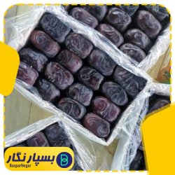 خرما خوزستان 