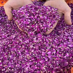 گل محمدی خشک