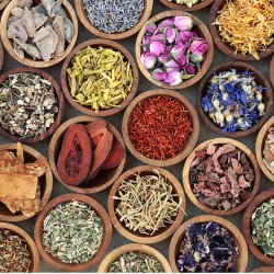 فروش مکمل های گیاهی