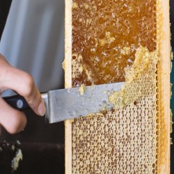 عسل طبیعی و حبوبات
