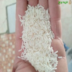 برنج طارم هاشمی درجه ١
