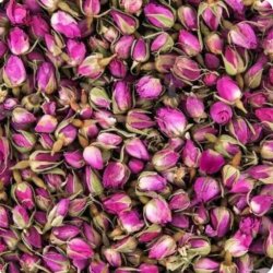 گل محمدی درجه یک 