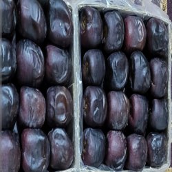 فروش خرما درجه یک و دو 