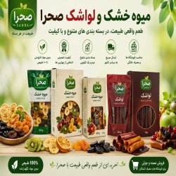 فروش عمده میوه خشک و لواشک برند صحرا