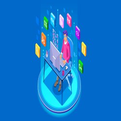 web developer