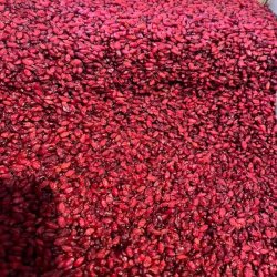 زرشک و زعفران ها بادام درختی 