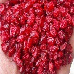 زرشک درجه یک 