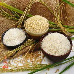 برنج هاشمی گیلان برنج هاشمی گیلان
