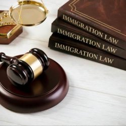 وکیل مهاجرت و کاریابی 