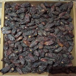 خرما ربی