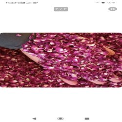 فروش گل محمدی درجه یک