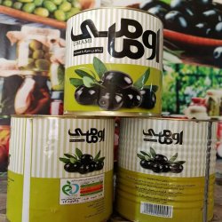 زیتون با هسته و بدون هسته