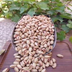 پسته اکبری درجه یک 