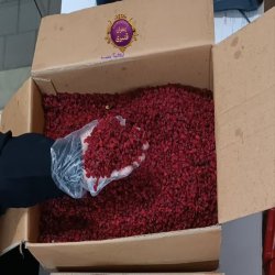 فروش زرشک طبیعی ارگانیک