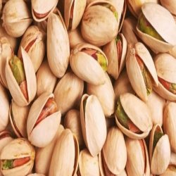 پسته صادراتی